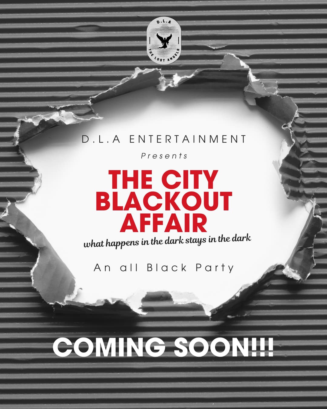 THE CITY BLACKOUT AFFAIR